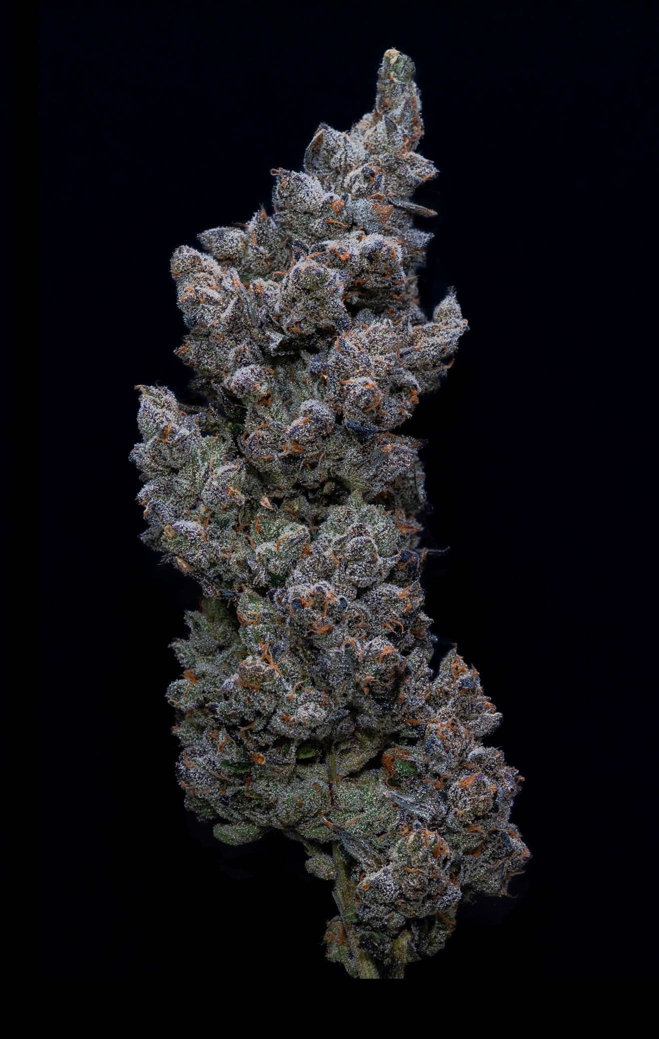 Apples & Bananas flower